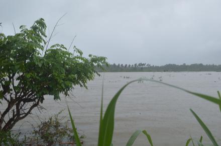 LAHAN PERTANIAN BULAK KETEP KULON TERENDAM BANJIR