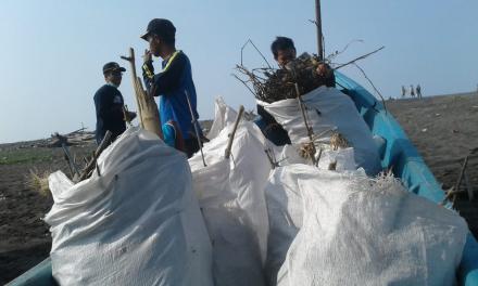 BERSIH PANTAI SELATAN 